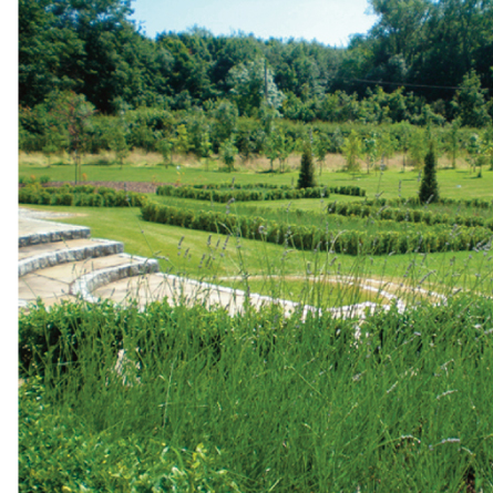 Grand steps and lavender