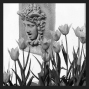 Water feature and tulips