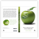 The Perfect Teacher | Book cover design | Click to enlarge